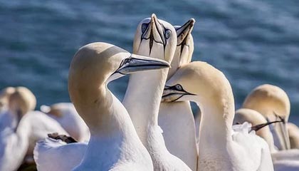 kaiyun网站-开云体育_ NBA的职业道德：运动员在场内外的责任，篮球运动员的职业道德