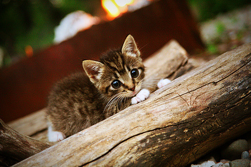 _科技变革极限运动：未来已来，速度无极限_，科技无限可能