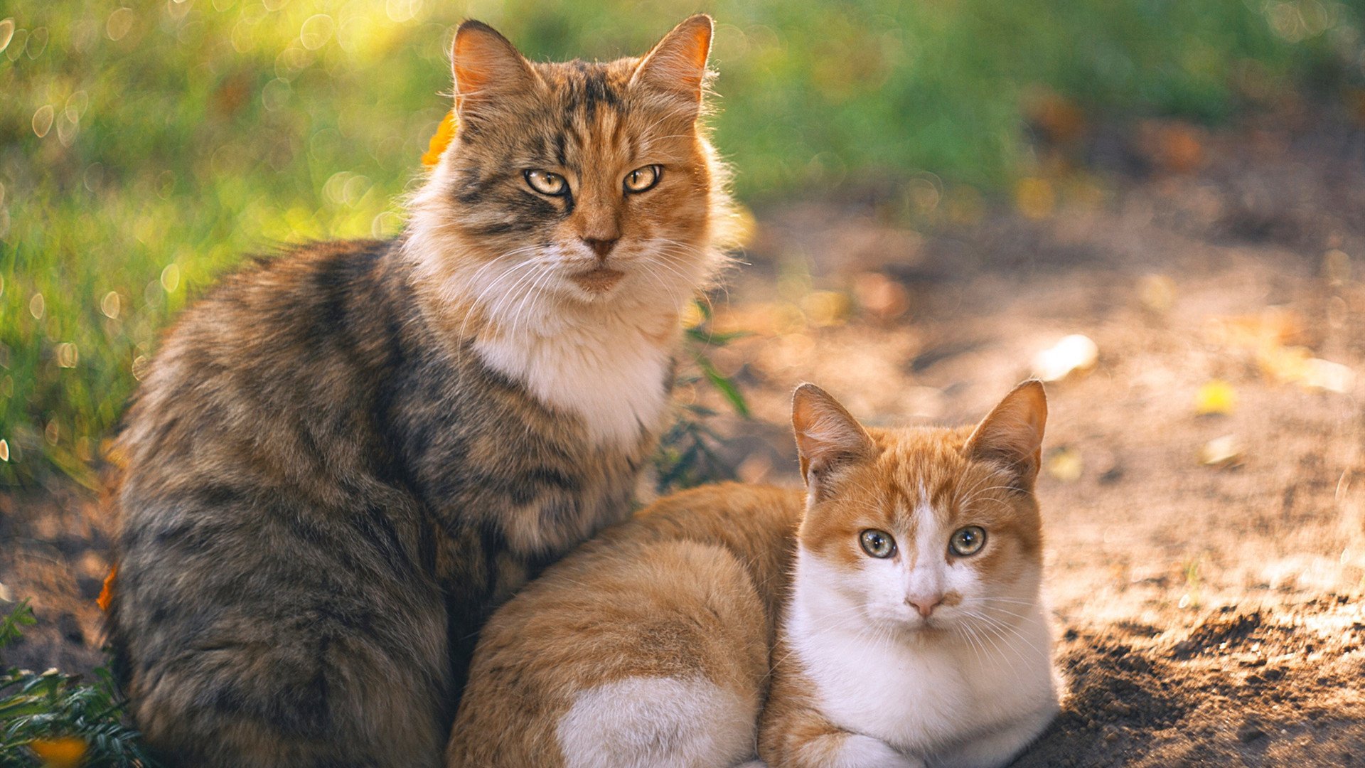 “季后赛首轮战火蔓延，强队遇强队，实力比拼进入白热化”，2022季后赛