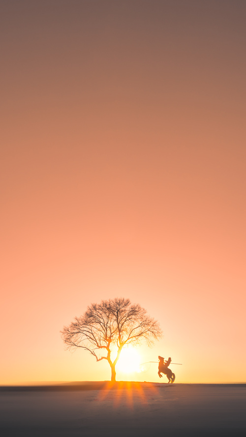 “官方:2025中超最强阵容预测出炉”,202l中超