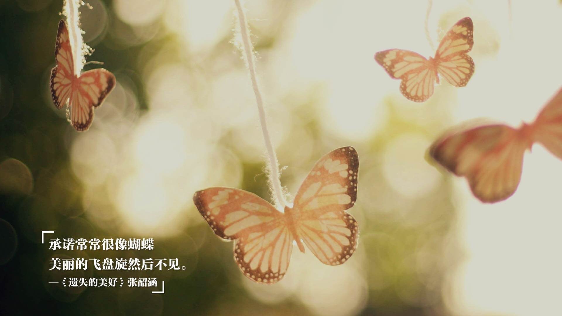 “尼克斯球迷狂欢，主场迎来关键胜利”，尼克斯大牌球迷