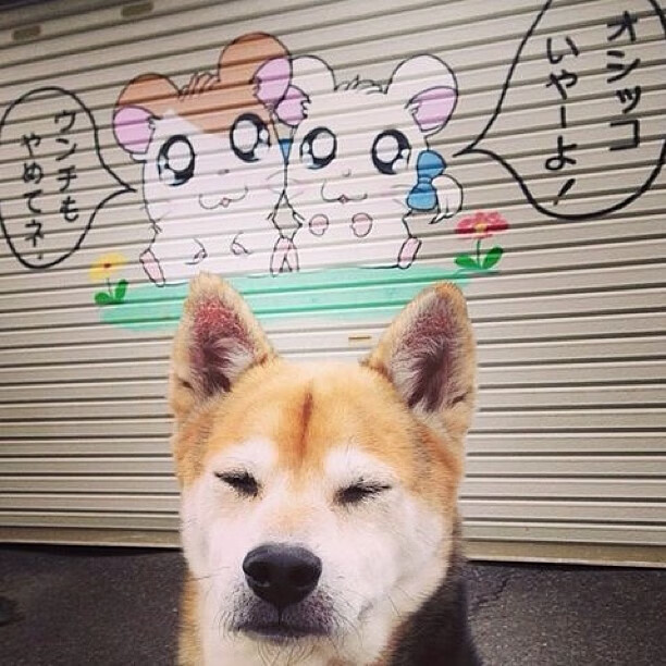 国王主教练亲临高中校园，进行公益训练营，国王队主教练沃顿好吗