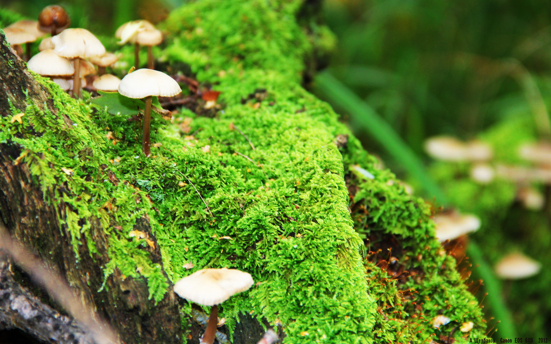 kaiyun网站-最新技术：智能球台提升赛事体验，智能台球桌多少钱一台