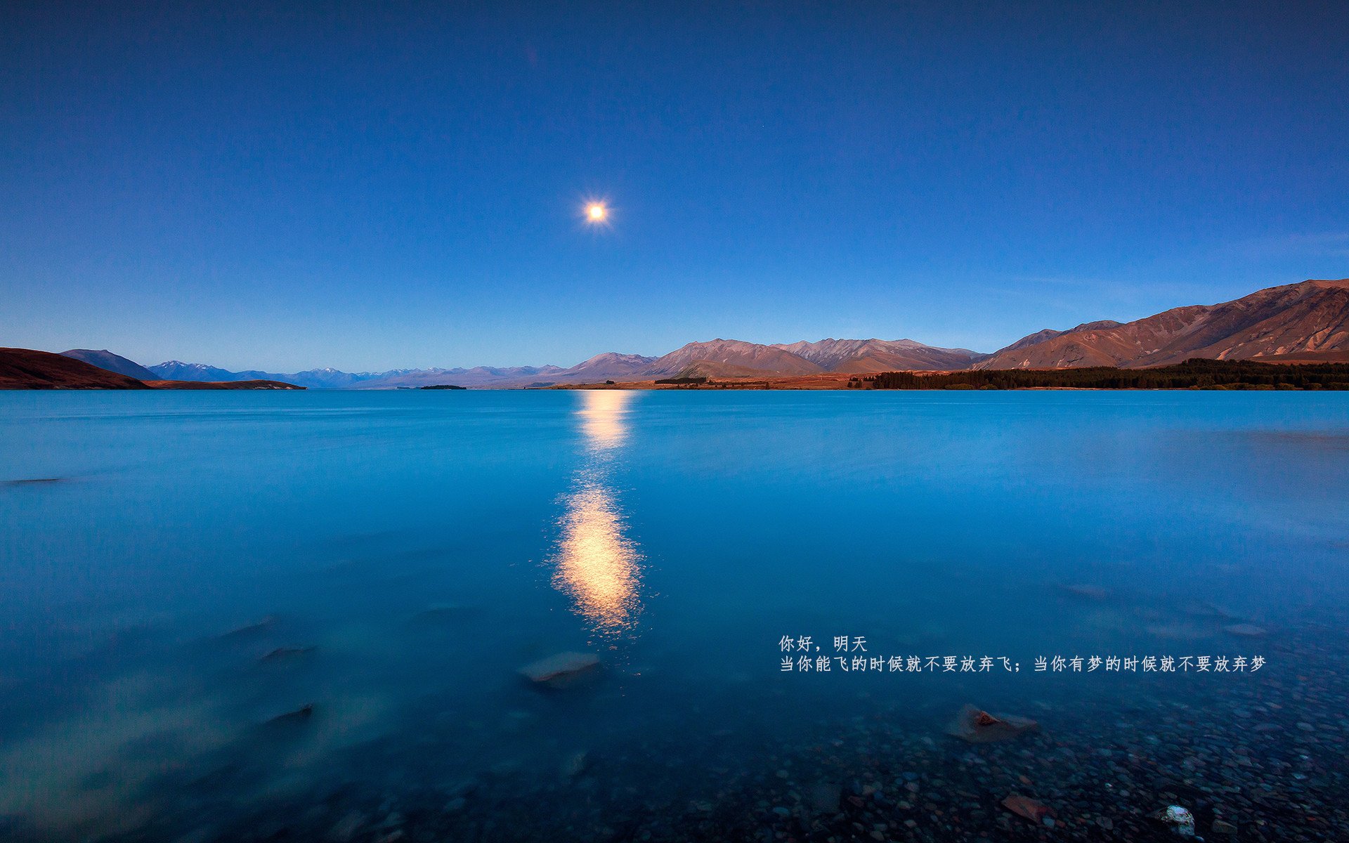 法甲焦点战,里尔逆转取胜,法甲-里尔力压巴黎夺冠