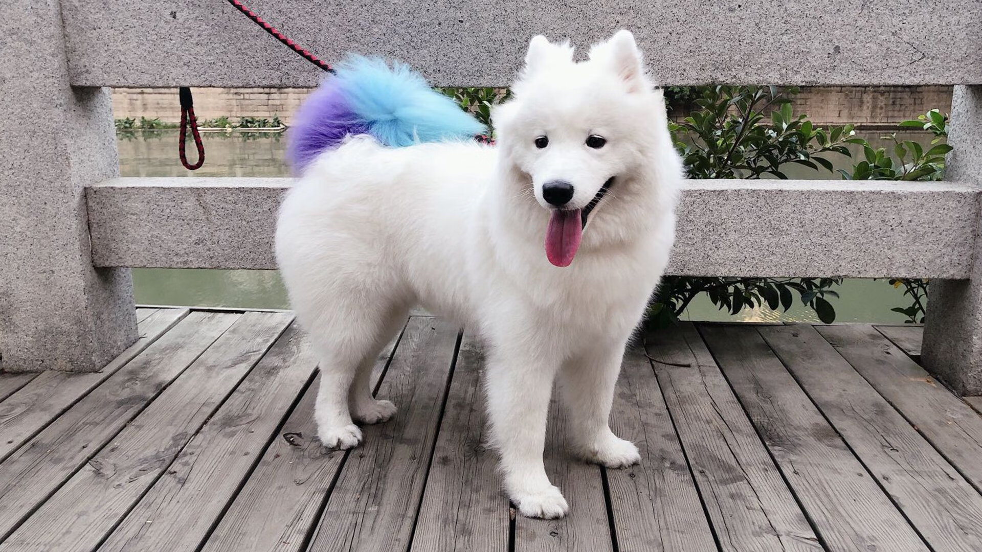 赛事奖池创新高，吸引全球顶尖选手，赛事奖金排名