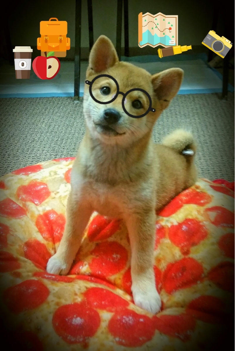 开云官网首页-中国女足表现出色，在比赛中占据优势，中国女足很厉害