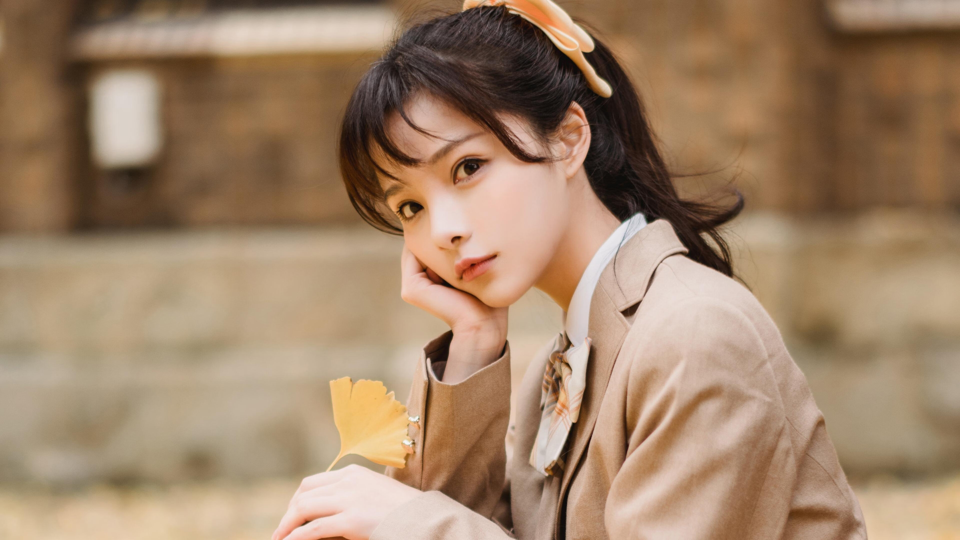 伊朗篮球联赛观众人数增长，伊朗有篮球联赛吗