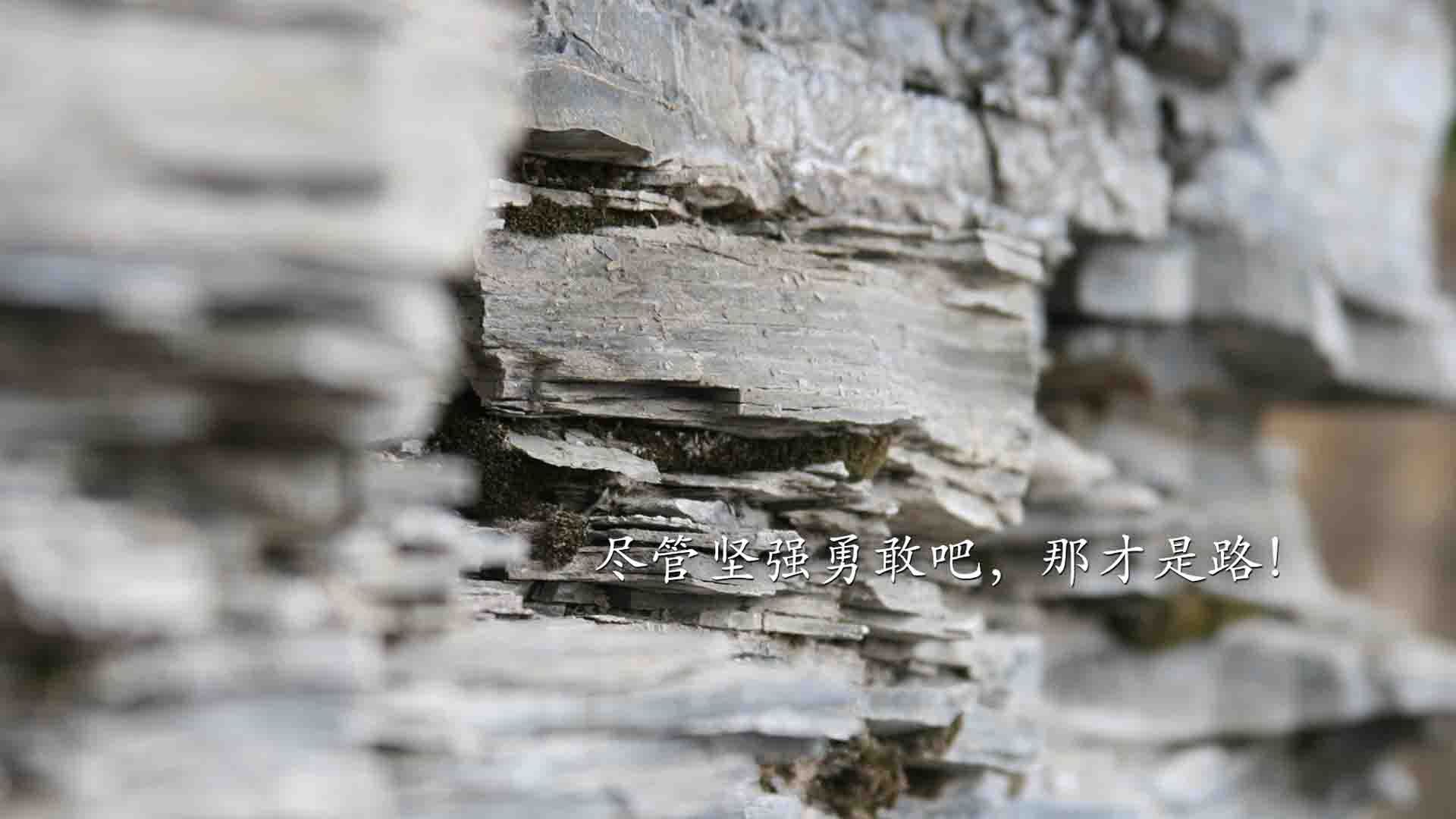 伊朗联赛关键比赛吸引关注,伊朗球队