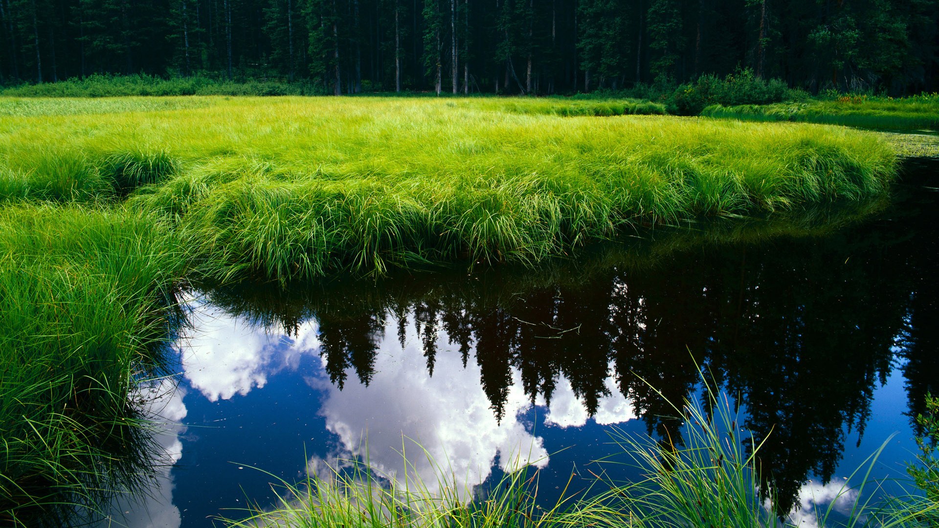巴恩斯利三连胜遭遇终结,客场不敌米尔沃尔,球队排名下滑,巴恩斯利球衣