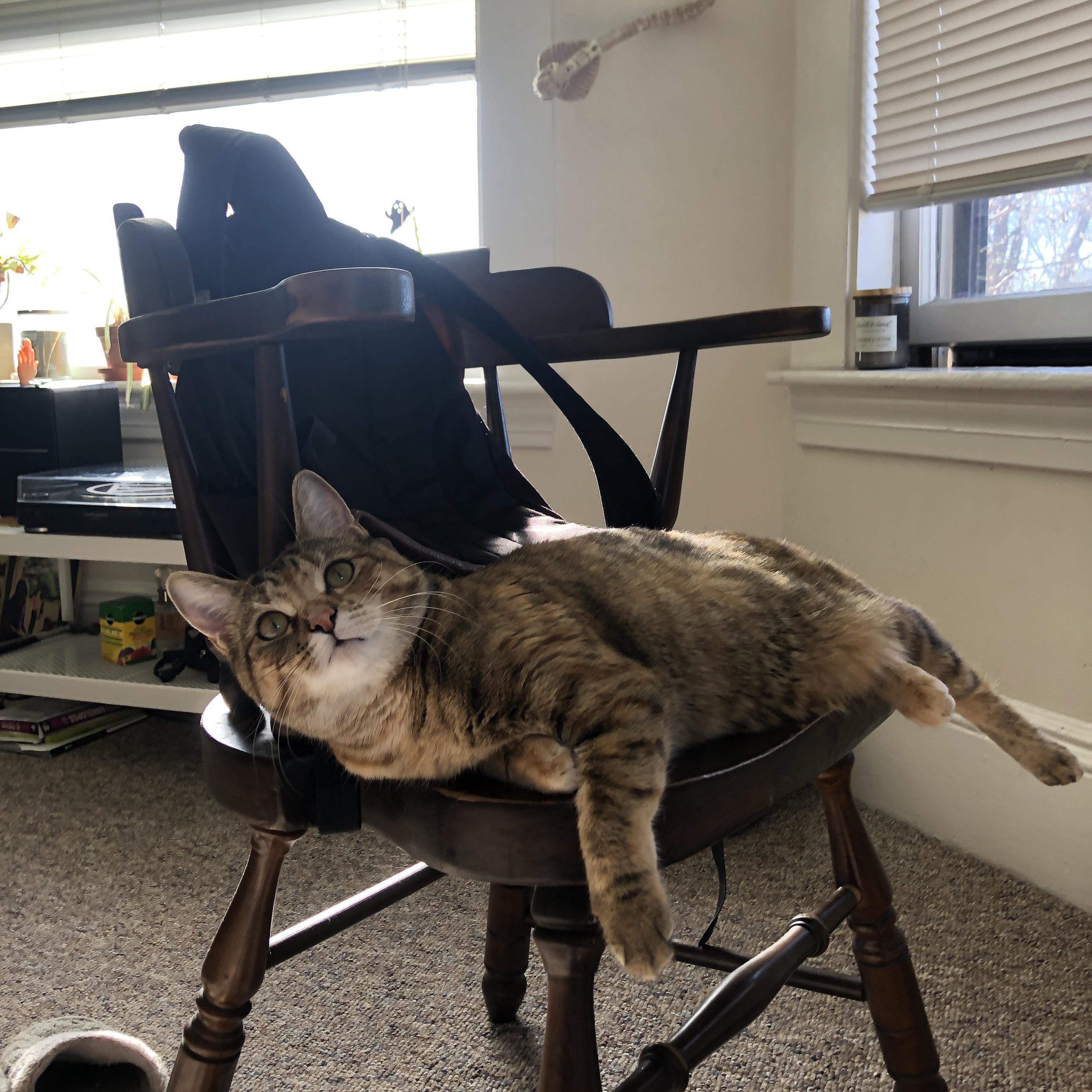 电竞赛事转播技术升级与网络带宽优化,电竞直转播是什么