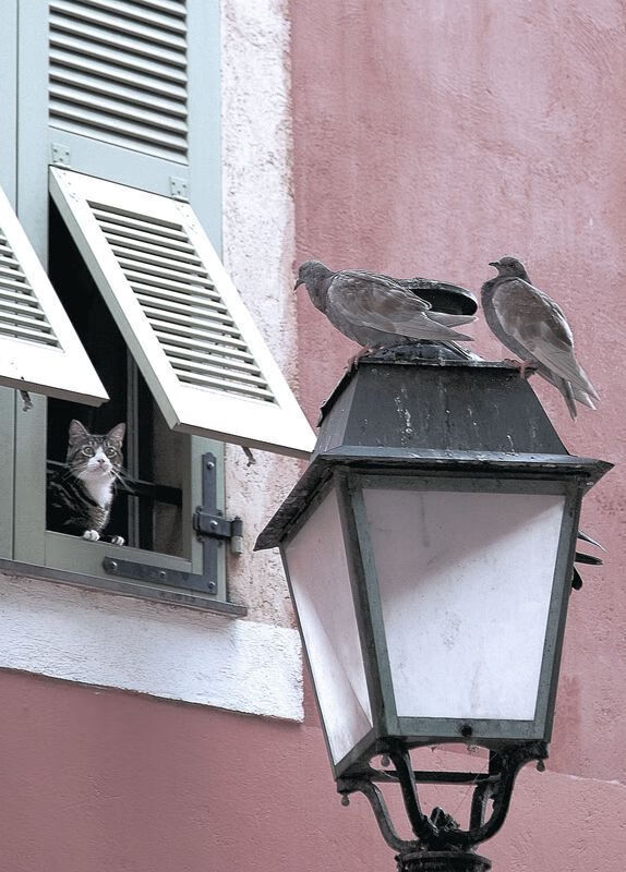 开云体育网页版入口-体育类专业实践课程比例调整与实效评估，体育类专业实践课程比例调整与实效评估方案