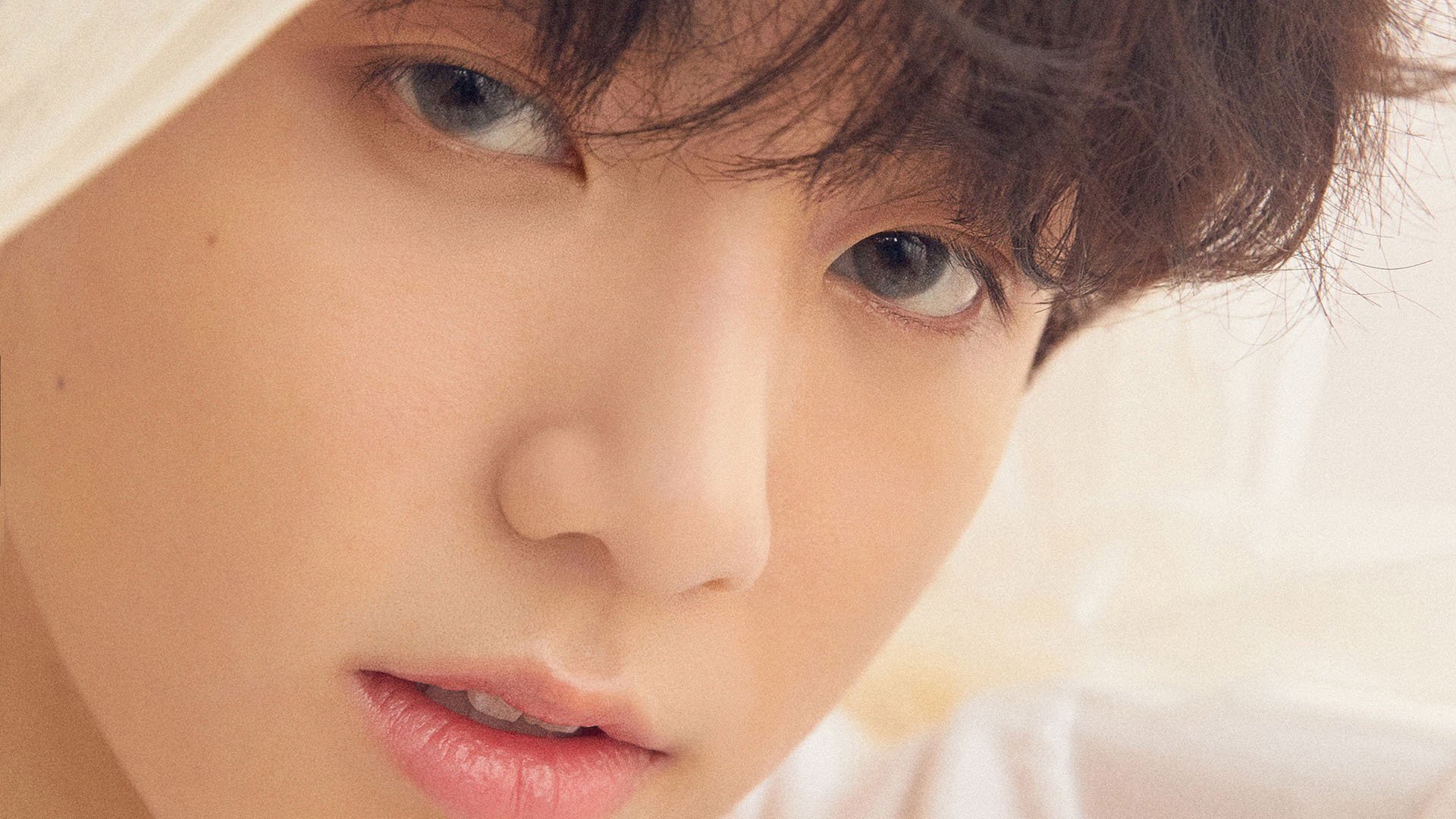 体育赛事观众服务提升，体育赛事服务流程