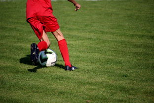 开云官方网页登录-意甲裁判语义辅助判罚系统提升比赛公平性研究，意甲裁判组