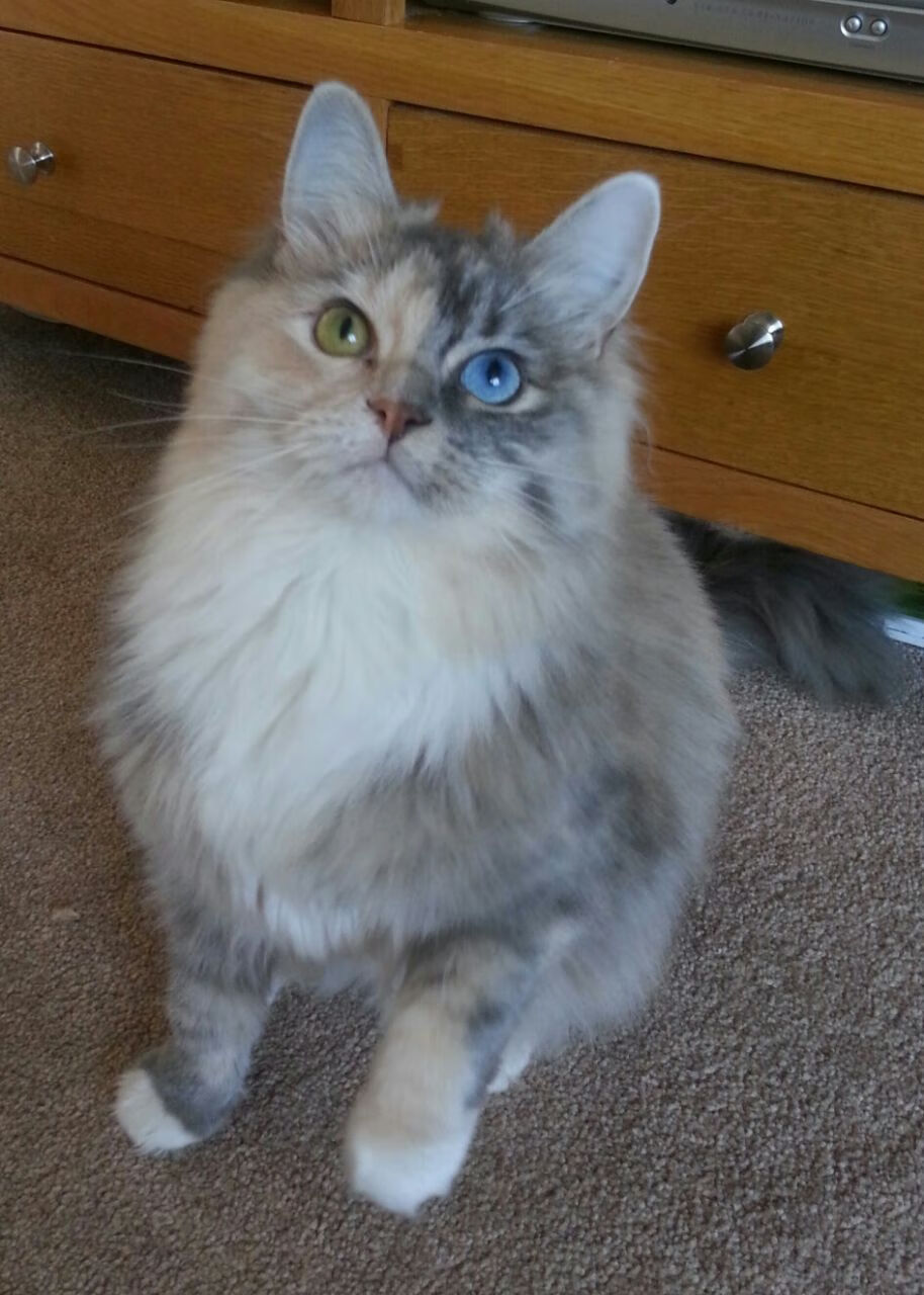 开云在线直播-新闻中心推进供应链整合，供应链相关新闻