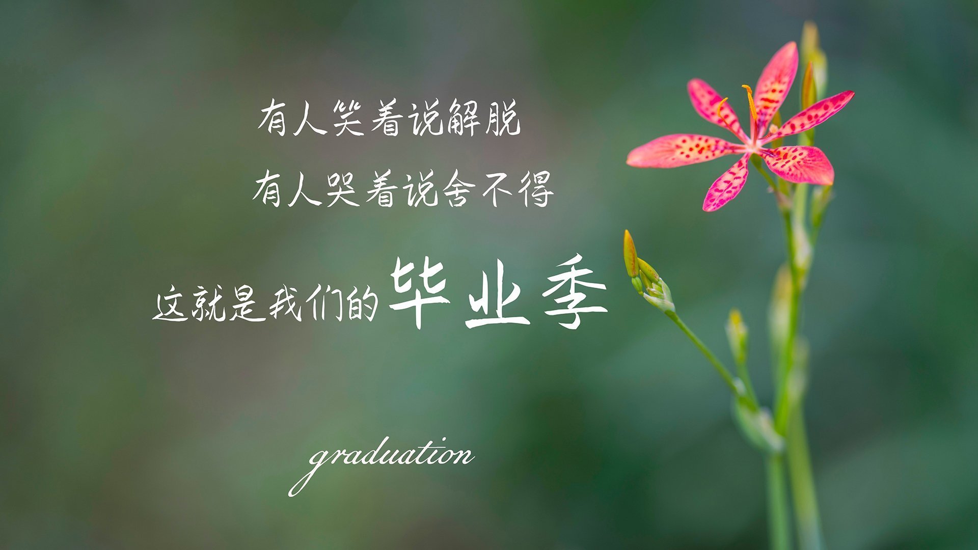 中国女篮加强防守反击 打造坚固防线,中国女篮真棒