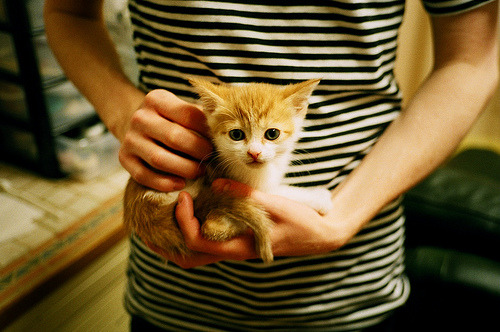 五大联赛控球时间增长是否影响场均进球数,五大联赛传控球队