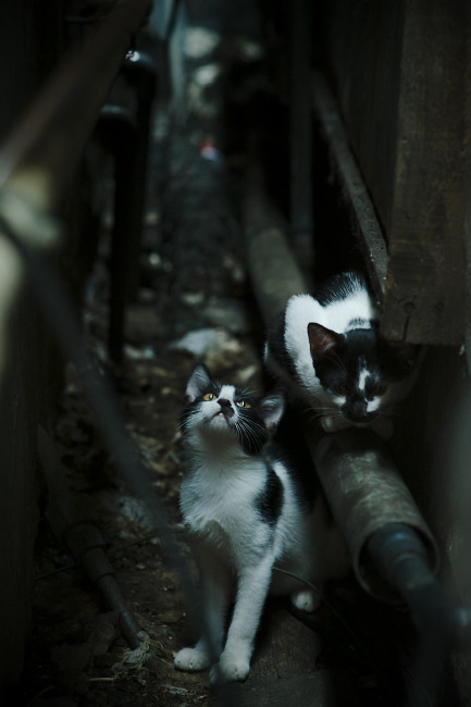 亚洲杯中国青年队惨败 球迷呼吁加强基础训练,亚洲青年杯积分榜