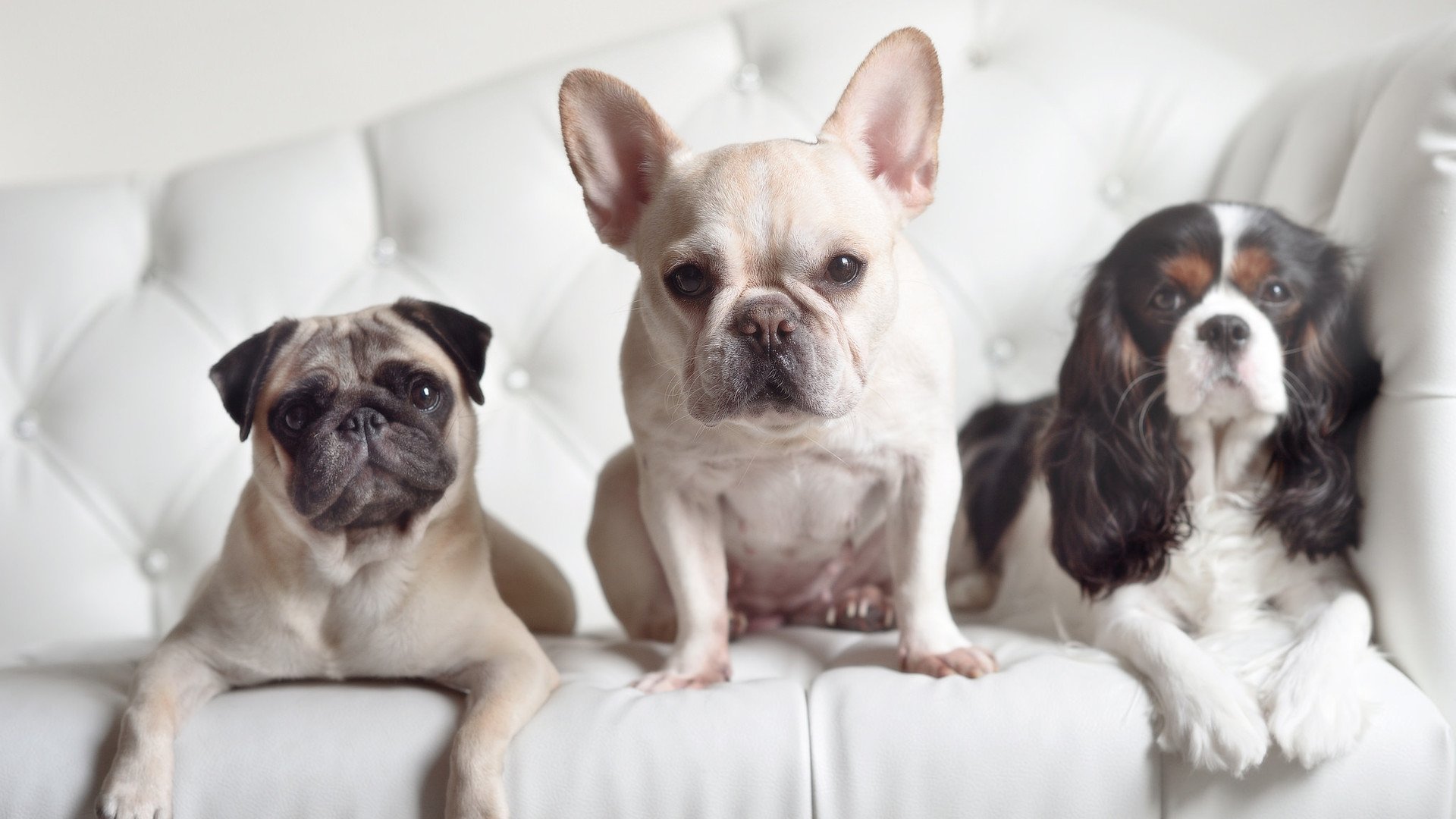 体育新闻中心构建体育赛事跨平台传播矩阵,体育新闻赛事报道标题大全