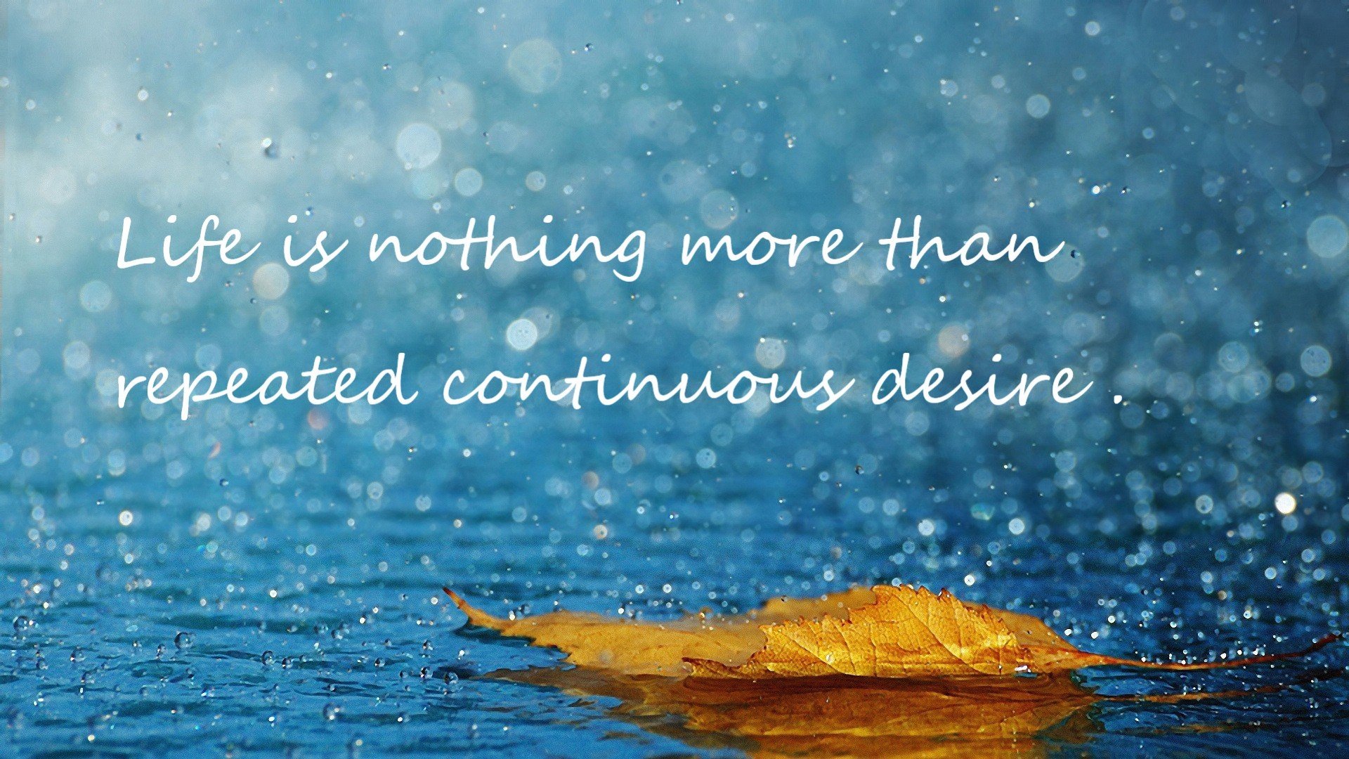 德国蛙泳技术细腻 成绩稳步提升，德国游泳名将