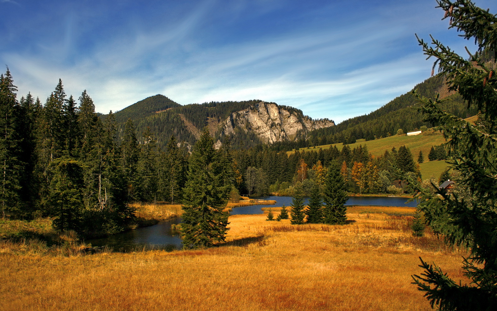 庞蒂冲线时刻引爆全场欢呼,庞蒂克所有车型报价