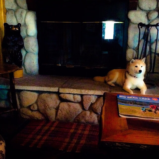 开云官网首页-德甲力量与速度：攻防演绎极致！，德甲强度